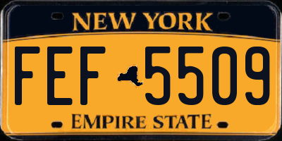 NY license plate FEF5509