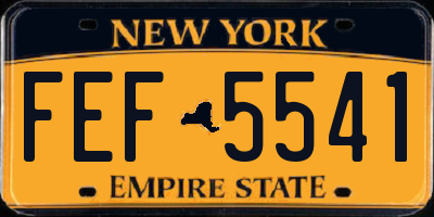 NY license plate FEF5541