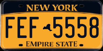 NY license plate FEF5558