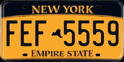 NY license plate FEF5559