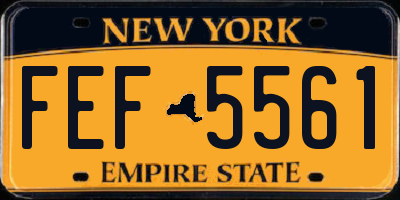 NY license plate FEF5561