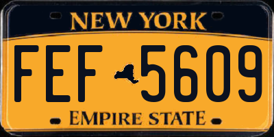 NY license plate FEF5609