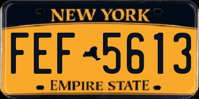 NY license plate FEF5613