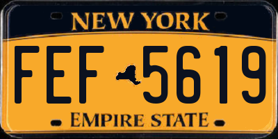 NY license plate FEF5619