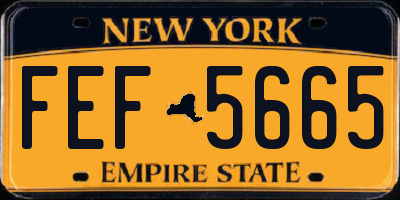NY license plate FEF5665