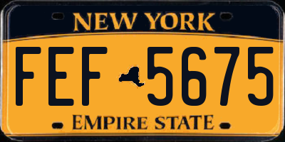 NY license plate FEF5675