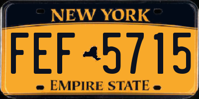 NY license plate FEF5715