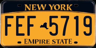 NY license plate FEF5719