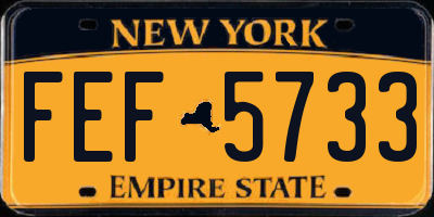 NY license plate FEF5733