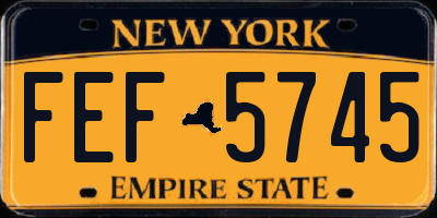 NY license plate FEF5745