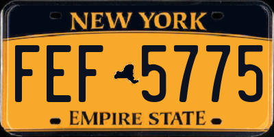 NY license plate FEF5775