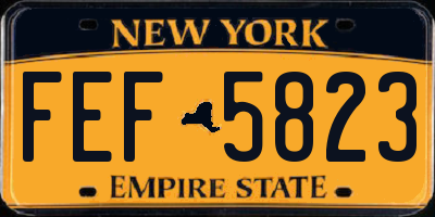 NY license plate FEF5823