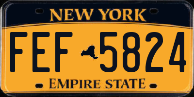 NY license plate FEF5824