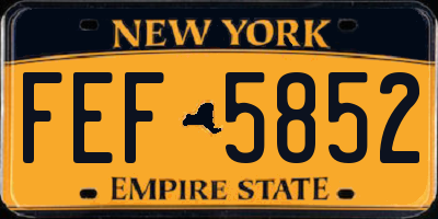 NY license plate FEF5852