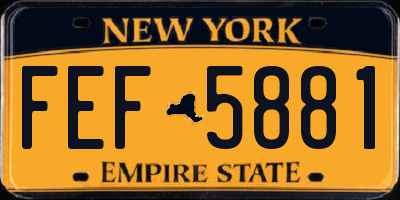 NY license plate FEF5881
