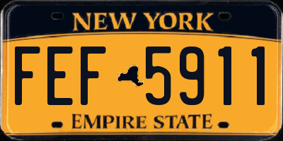 NY license plate FEF5911