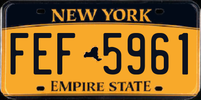 NY license plate FEF5961