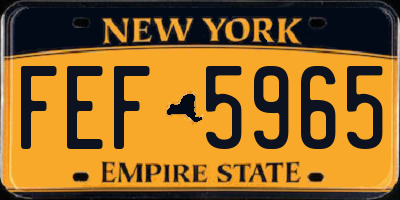 NY license plate FEF5965