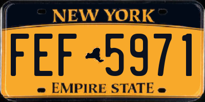 NY license plate FEF5971