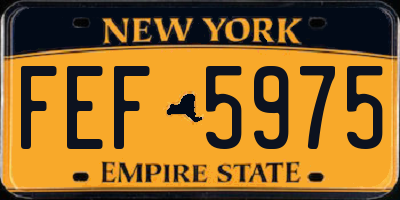 NY license plate FEF5975