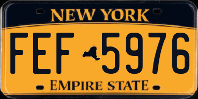 NY license plate FEF5976