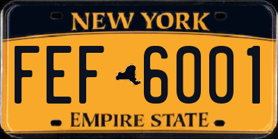 NY license plate FEF6001