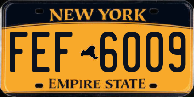 NY license plate FEF6009