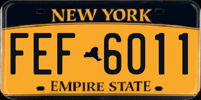 NY license plate FEF6011
