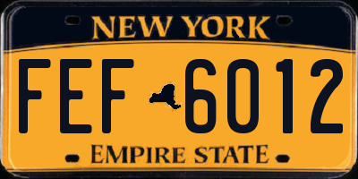 NY license plate FEF6012