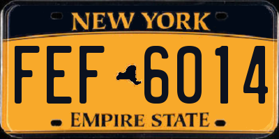 NY license plate FEF6014