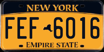 NY license plate FEF6016