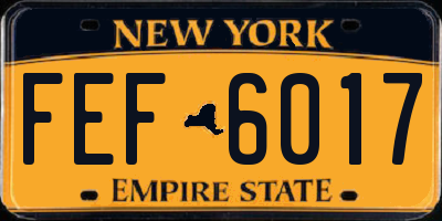 NY license plate FEF6017