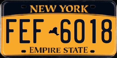 NY license plate FEF6018