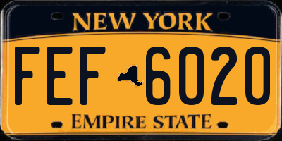 NY license plate FEF6020