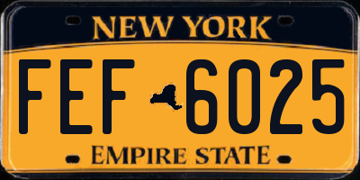 NY license plate FEF6025