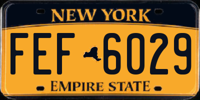 NY license plate FEF6029