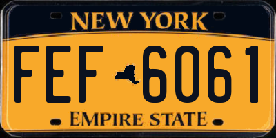 NY license plate FEF6061