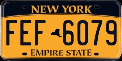 NY license plate FEF6079