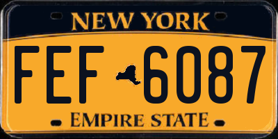 NY license plate FEF6087