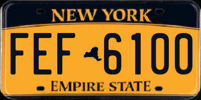 NY license plate FEF6100