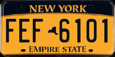 NY license plate FEF6101