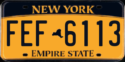NY license plate FEF6113