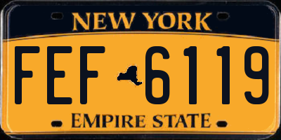 NY license plate FEF6119