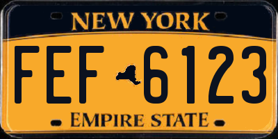NY license plate FEF6123
