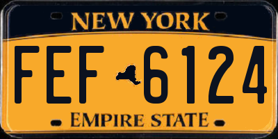 NY license plate FEF6124