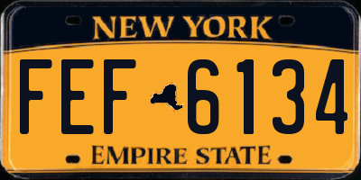 NY license plate FEF6134