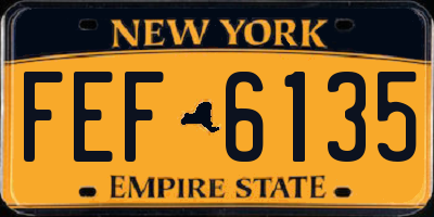 NY license plate FEF6135