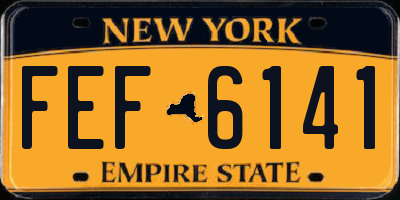 NY license plate FEF6141