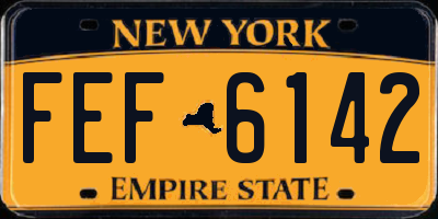 NY license plate FEF6142