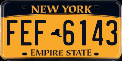 NY license plate FEF6143